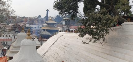 महाशिवारात्रिको तयारी तिव्र