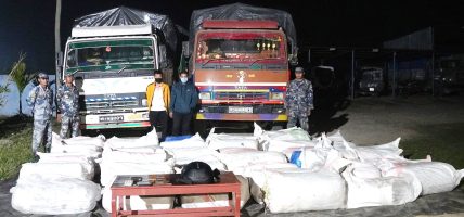 १६ सय ३६ किलो गाँजासहित झापाबाट दुई जना पक्राउ