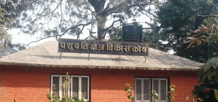 पशुपतिमा आर्थिक हिनामिना र अपचलन गर्ने एक कर्मचारी बर्खास्त