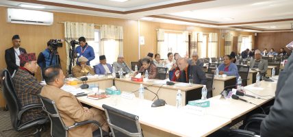 कुलिङ पिरियड बारे छानबिन समितिका लागि तीन सांसदको नाम टुंगियो