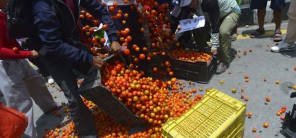 उचित मूल्यको माग गर्दै किसानले माइतीघरमा गोलभेँडा फालेर प्रदर्शन