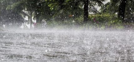 सुनसरीमा भारी वर्षाको सम्भावना, सतर्कता अपनाउन आग्रह
